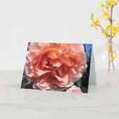 ピンクローズ カード (黄色い花)