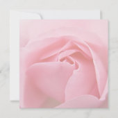 ピンクローズ・セーブ・ザ・デート案内 セーブザデート (裏面)