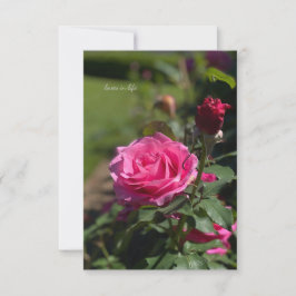 ピンクローズ&バド ノートカード