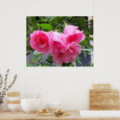 ピンクローズ&レインドロップ ポスター (キッチン)