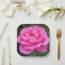 ピンクローズ「レオナルドダヴィンチ」 ペーパープレート