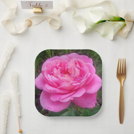ピンクローズ「レオナルドダヴィンチ」 ペーパープレート (ウェディング)
