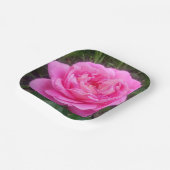 ピンクローズ「レオナルドダヴィンチ」 ペーパープレート (傾斜あり)