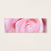 ピンクローズ、日付の保存 (裏面)