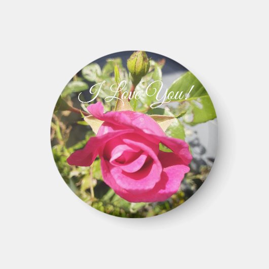 ピンクローズ#2マグネット マグネット (正面)