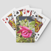 ピンクローズ#2 トランプ (裏面)