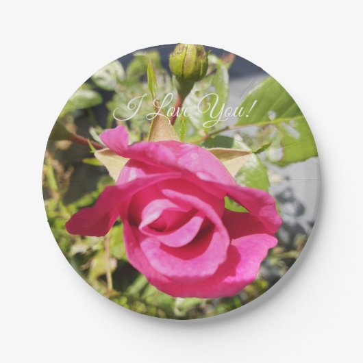 ピンクローズ#2 ペーパープレート (正面)