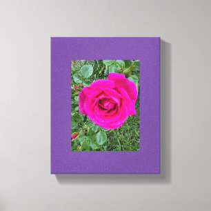 ピンクローズ#3 キャンバスプリント