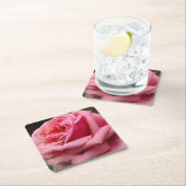 ピンクローズIかわいらし花の写真 スクエアペーパーコースター (インサイチュ)