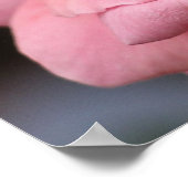 ピンクローズIかわいらし花の写真 ポスター (角)