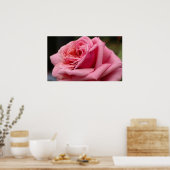 ピンクローズIかわいらし花の写真 ポスター (キッチン)