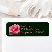 ピンクローズIかわいらし花の写真 ラベル (インサイチュ)