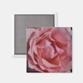 ピンクローズIIかわいらしフローラ マグネット (正面/裏面)