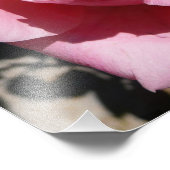 ピンクローズIIIガーデンフローラ フォトプリント            (角)