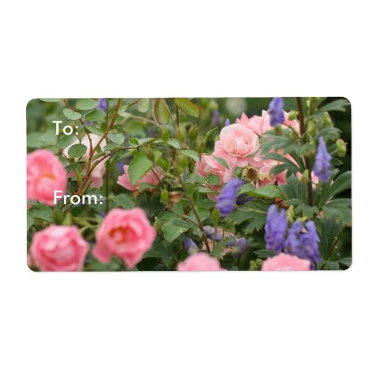 ピンクローゼインアザバラガーデン ラベル (正面)