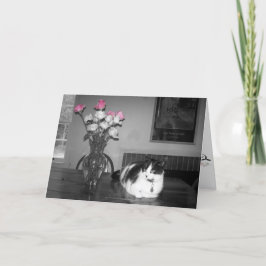 ピンクローゼス付き猫誕生日カード カード