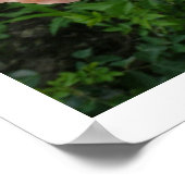 ピンクローゼポスター ポスター (角)