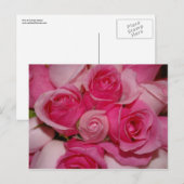 ピンクローゼ – はがき (正面/裏面)