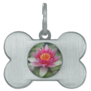 ピンクロータスウォーターリリー額縁ペットタグ ペットネームタグ