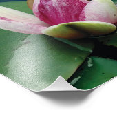 ピンクロータスフラワーフォトロータスフラワー紙プリント フォトプリント (角)