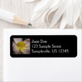 ピンクロータスフラワーI夏フローラ ラベル (インサイチュ)