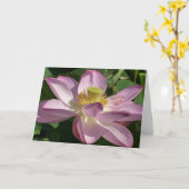 ピンクロータスフラワーIIサマーフローラ カード (黄色い花)