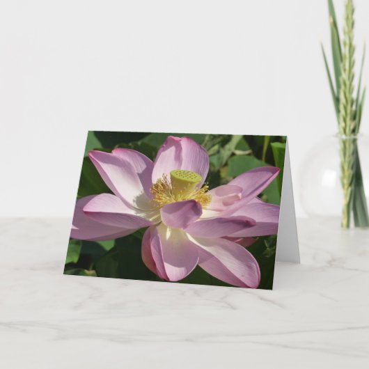 ピンクロータスフラワーIIサマーフローラ カード (正面)