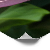 ピンクロータスフラワーII夏フローラ ポスター (角)