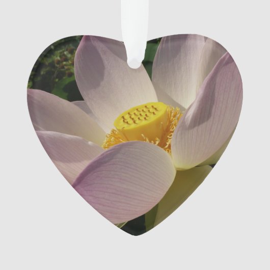 ピンクロータスフラワーIII夏フローラ オーナメント (正面)