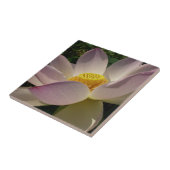 ピンクロータスフラワーIII夏フローラ タイル (側面)