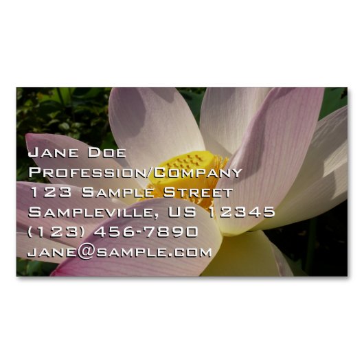 ピンクロータスフラワーIII夏フローラ マグネット名刺 (正面)