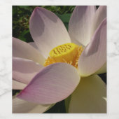 ピンクロータスフラワーIII夏フローラ ワインラベル (シングルラベル)