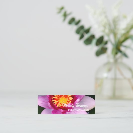 ピンクロータス開花、 スキニー名刺 (スタンド正面)