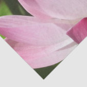 ピンクロータス開花 薄葉紙 (詳細)