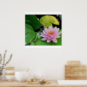 ピンクロータス ポスター (キッチン)