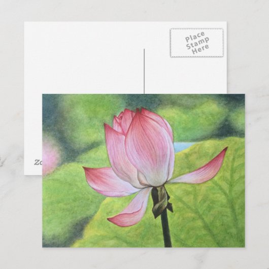 ピンクロータス ポストカード (正面/裏面)