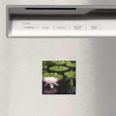 ピンクロータス《植物》スイレントンフライ磁石 マグネット (インサイチュ (食洗機))