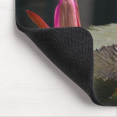 ピンクロータス《植物》スイレンマウスパッド マウスパッド (コーナー)