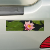 ピンクロータス《植物》スイレン バンパーステッカー (車上)