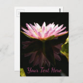 ピンクロータス《植物》スイレン ポストカード (正面/裏面)
