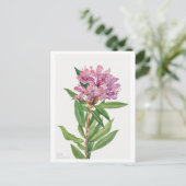 ピンクロードデンドロンボタニカルイラストレーション ポストカード (スタンド正面)