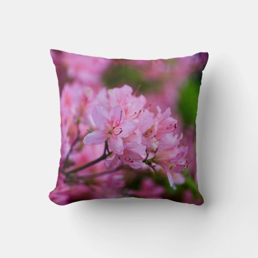ピンクロードデンドロン装飾用クッション クッション (正面)