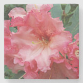 ピンクロードデンドロン開花フローラ ストーンコースター (正面)