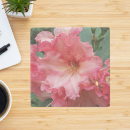 ピンクロードデンドロン開花フローラ ストーンコースター