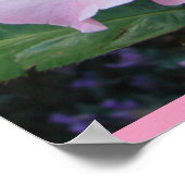 ピンクワイルドバラアートフローラ花写真ポスター ポスター (角)