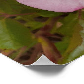 ピンクワイルドバラバラフローラフラワーガーデンポスター ポスター (角)