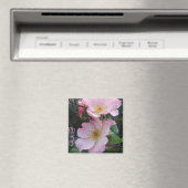 ピンクワイルドバラフラワーフローラ写真 マグネット (インサイチュ (食洗機))