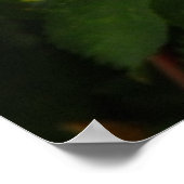 ピンクワイルドバラフローラ写真ポスター ポスター (角)