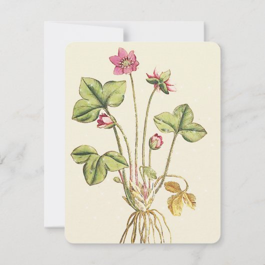 ピンクワイルドフラワーボタニカルディナー招待状 招待状 (裏面)