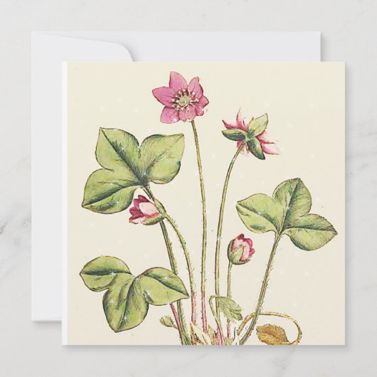 ピンクワイルドフラワーボタニカルディナー招待状 招待状 (裏面)